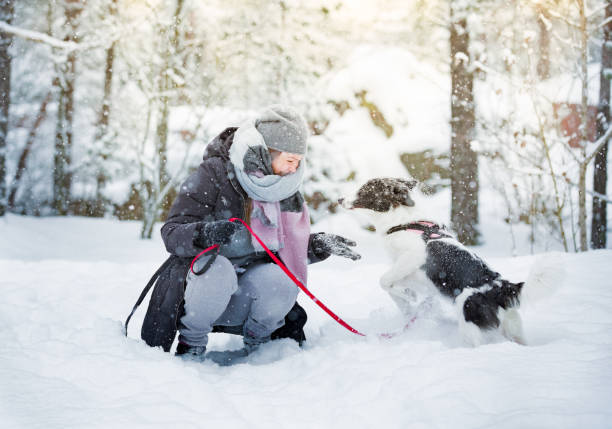istock Woman playing with dog in snowy forest 1063735268