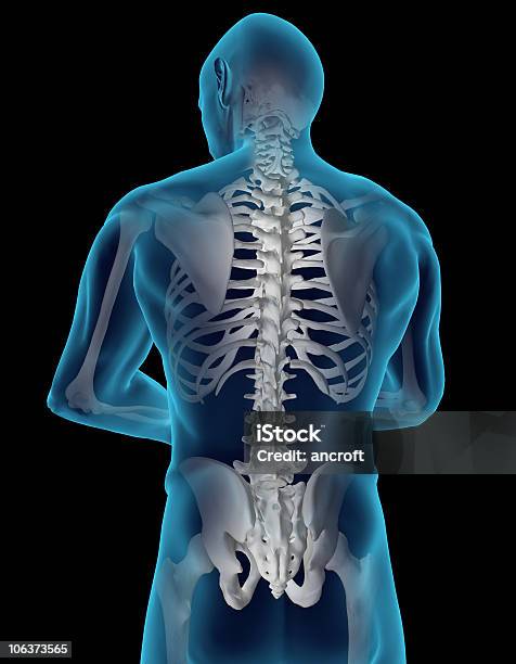 Foto de Dorso Humano e mais fotos de stock de Esqueleto Humano - Esqueleto Humano, Imagem de raios X, Anatomia