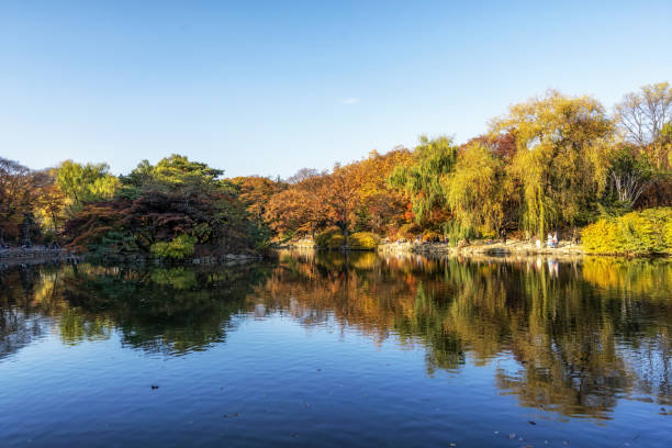istock reflections in changgyeong palace 1063737844