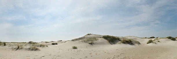 istock Panorama of sand dunes 106374204