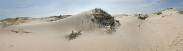 istock Panorama of sand dunes 106374209