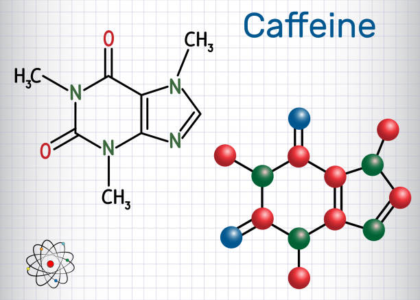 Caffeine molecule. Structural chemical formula and molecule model. Sheet of paper in a cage Caffeine molecule. Structural chemical formula and molecule model. Sheet of paper in a cage. Vector illustration caffeine molecule stock illustrations