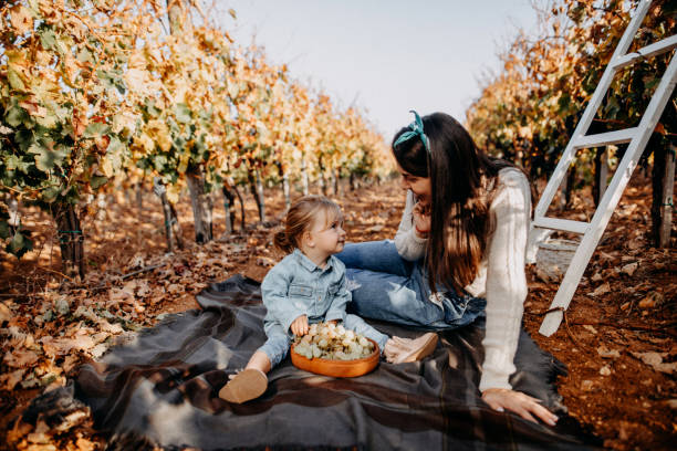 matka zabiera córkę przez winnicę - family grape zdjęcia i obrazy z banku zdjęć