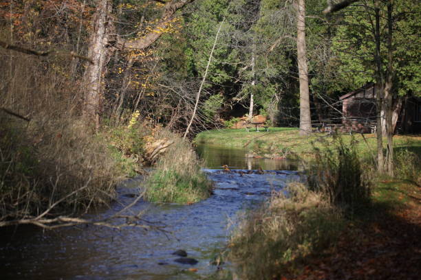 istock Autumn colors in the nature park 1063745710
