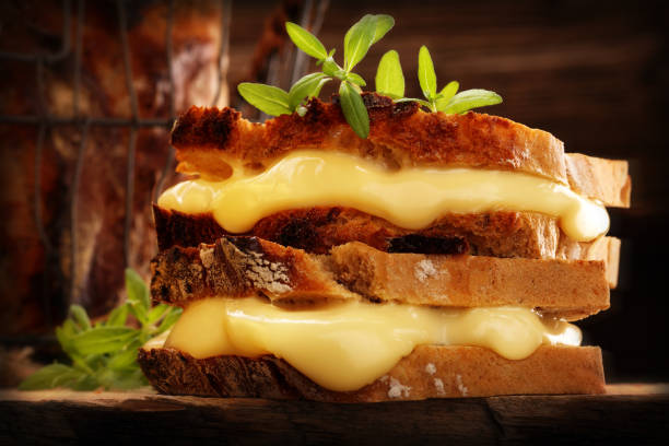 panino al pane integrale con formaggio e hrbs - cheese sandwich foto e immagini stock