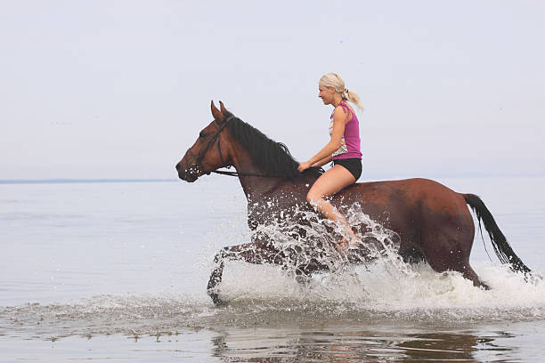 istock Horseback riding on the sea 106375241