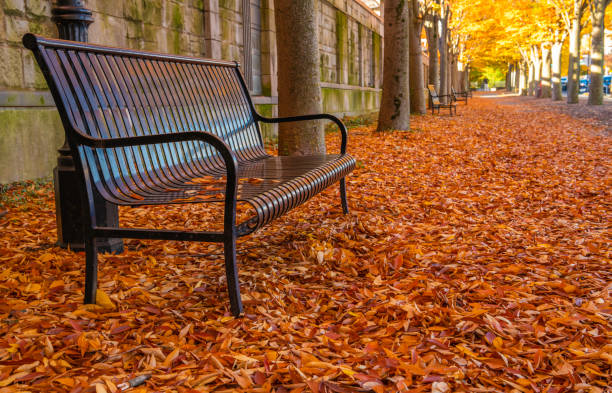 istock Autumn mood in Princeton, New Jersey 1063754322