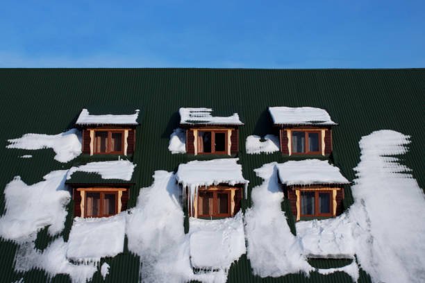 istock Green roof with white snow 1063754796
