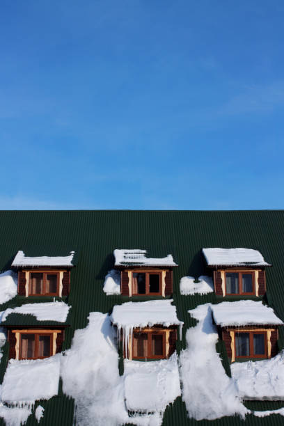istock Green roof with white snow 1063754838