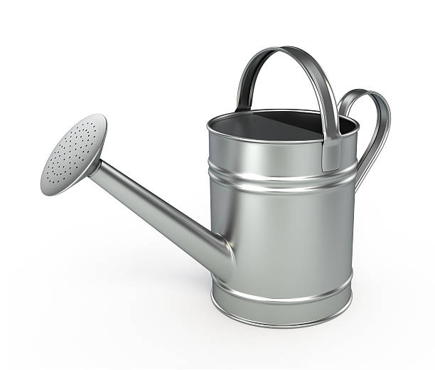 istock Stainless steel watering can on white background 106375904