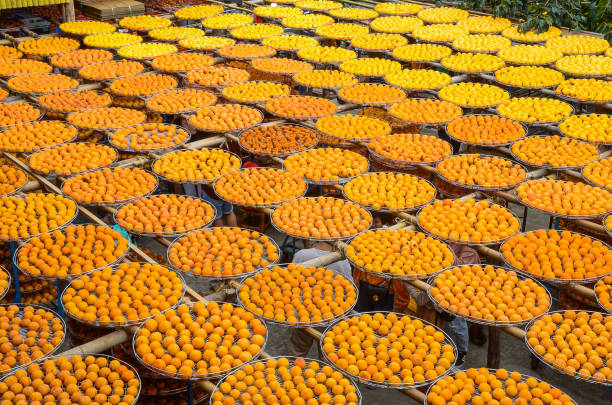 istock Hsinchu, Taiwan - OCT 10, 2018: Process of Making Dried Persimmon during Windy Autumn in Hsinpu (With Chinese Name of the Factory