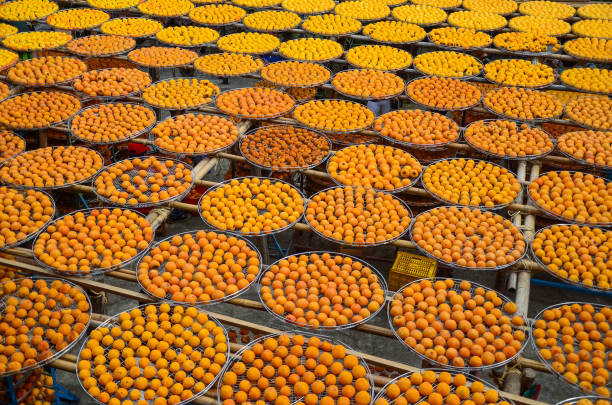istock Hsinchu, Taiwan - OCT 10, 2018: Process of Making Dried Persimmon during Windy Autumn in Hsinpu (With Chinese Name of the Factory