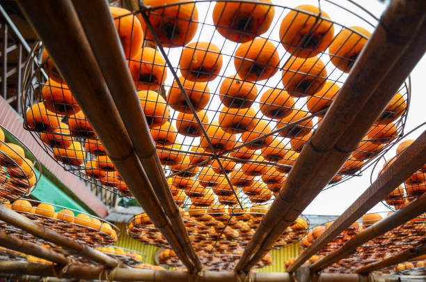 istock Hsinchu, Taiwan - OCT 10, 2018: Process of Making Dried Persimmon during Windy Autumn in Hsinpu (With Chinese Name of the Factory
