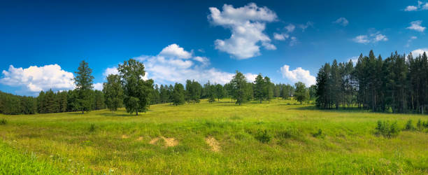 istock View of Sunny meadow with blue sky and white clouds 1063763954
