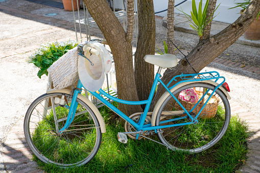 vintage pretty bicycle with basket, cyan color, resting on a tree over green grass