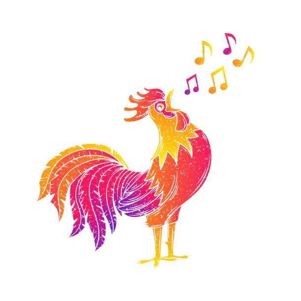 Rooster Crowing Illustrations, Royalty-Free Vector Graphics & Clip Art -  iStock