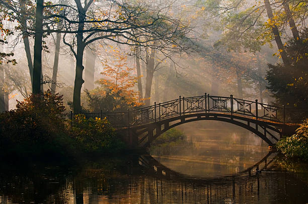 istock Misty autumn park with old bridge 106376975