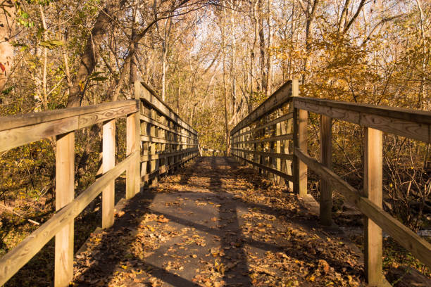 istock View of a wooden bridge on a sunny fall day 1063770040