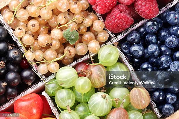 Clourful 베리류 0명에 대한 스톡 사진 및 기타 이미지 - 0명, 건강한 식생활, 과일