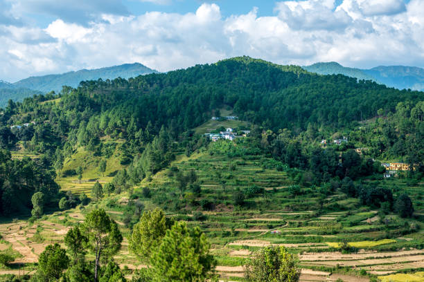 istock Step Farms in Bageshwar, Uttarakhand, India 1063774140
