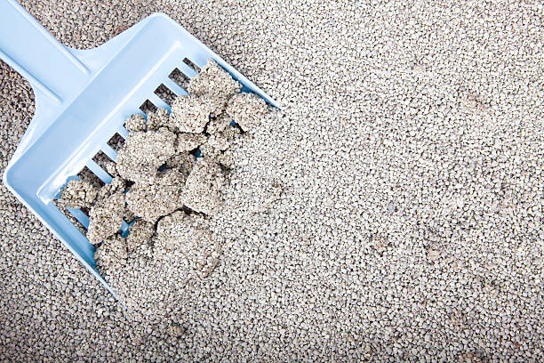 Clumping cat litter being scooped up stock photo