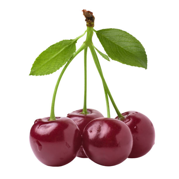 istock Ripe red cherry in water drops isolated on white background 1063777858