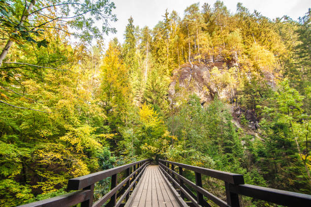 istock National Park in Bohemian Switzerland 1063779234
