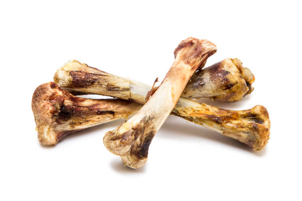 Gnawed chicken bones isolated on white background stock photo