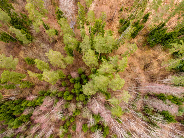 istock drone image. aerial view of rural area with fields and forests with river and water reflections 1063784700