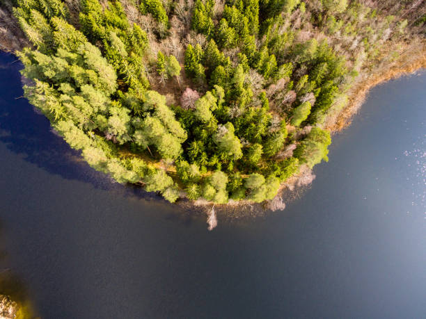 istock drone image. aerial view of rural area with fields and forests with river and water reflections 1063784804