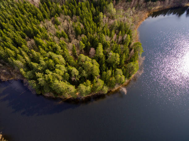 istock drone image. aerial view of rural area with fields and forests with river and water reflections 1063784806