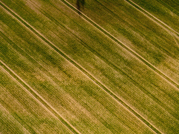 istock drone image. aerial view of rural area with fields and forests with river and water reflections 1063785192
