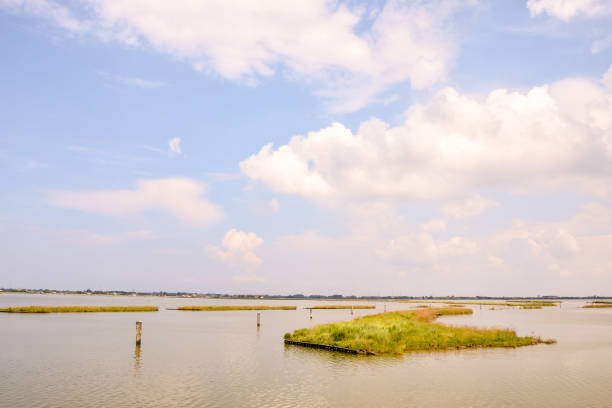 istock Landscape The Po Delta 1063785852