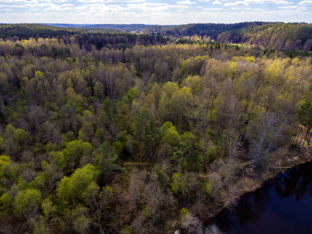 istock drone image. aerial view of rural area with fields and forests with river and water reflections 1063788732