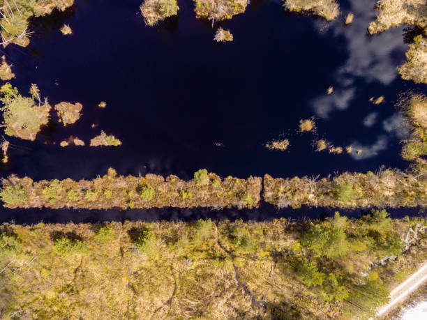 istock drone image. aerial view of rural area with fields and forests with river and water reflections 1063789036