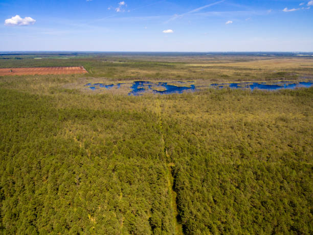 istock drone image. aerial view of rural area with fields and forests with river and water reflections 1063789138