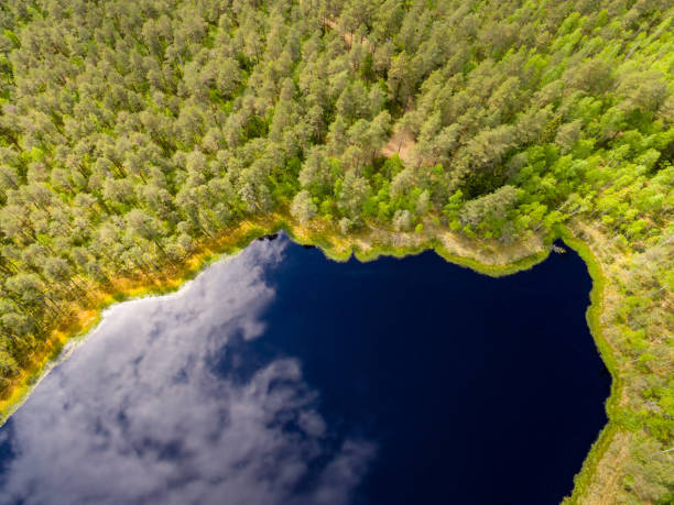 istock drone image. aerial view of rural area with fields and forests with river and water reflections 1063789232