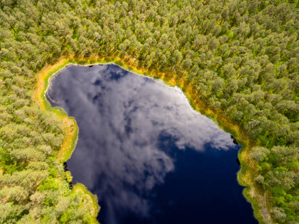 istock drone image. aerial view of rural area with fields and forests with river and water reflections 1063789242