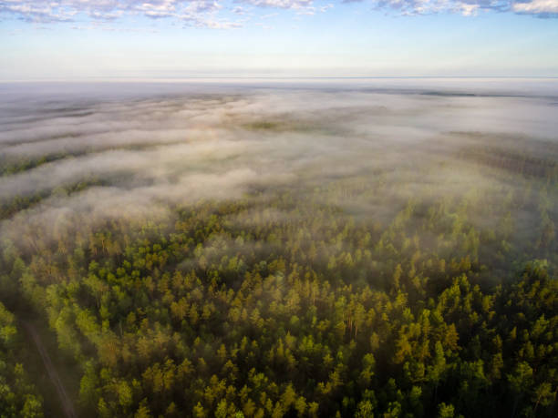 istock drone image. aerial view of rural area with fields and forests with river and water reflections 1063789334