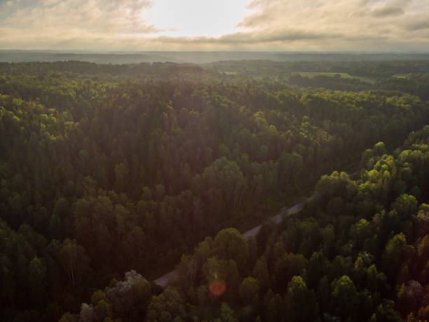 istock drone image. aerial view of rural area with fields and forests with river and water reflections 1063789494