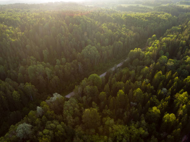istock drone image. aerial view of rural area with fields and forests with river and water reflections 1063789572