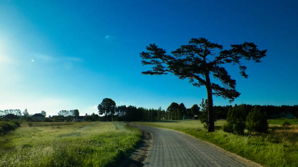 istock Offroad in Kashubian village. 1063790956