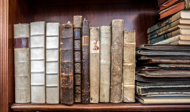 istock Old books lined up on a shelf 1063791366