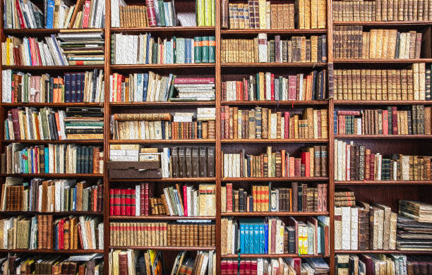istock Shelves loaded with books 1063792442