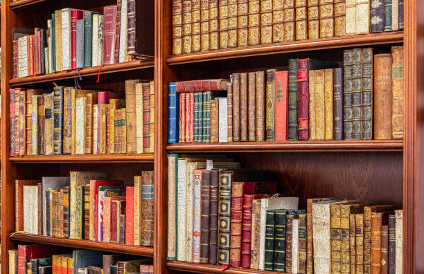 istock Shelves loaded with books 1063792768