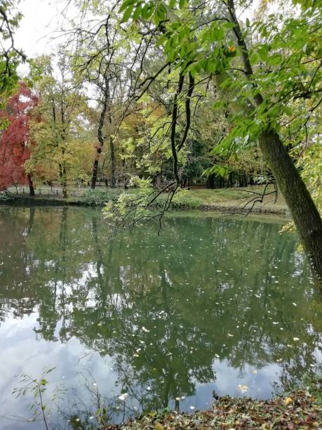istock The mirror of water 1063794322