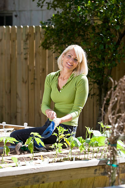 istock Woman working on vegetable garden in backyard 106379768