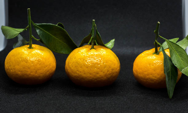 istock Kumquat fruits 1063799012