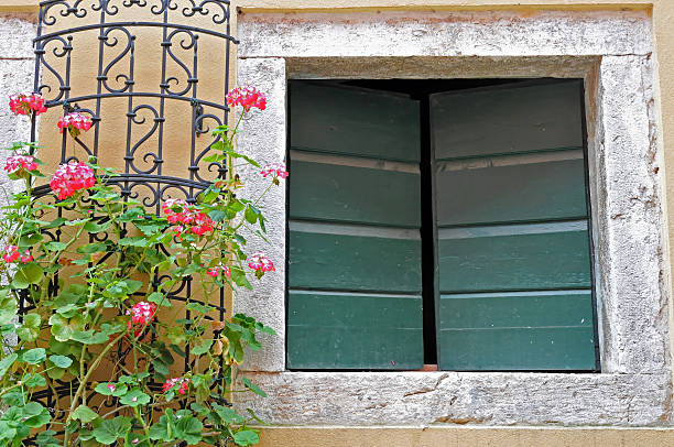 Green window shutter stock photo