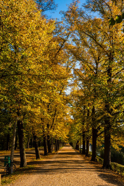 istock Leipzig Park and street, Germany 1063800296